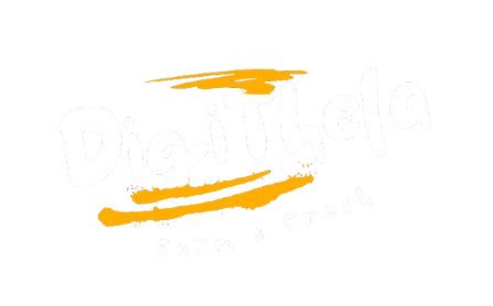 DigiThela Logo
